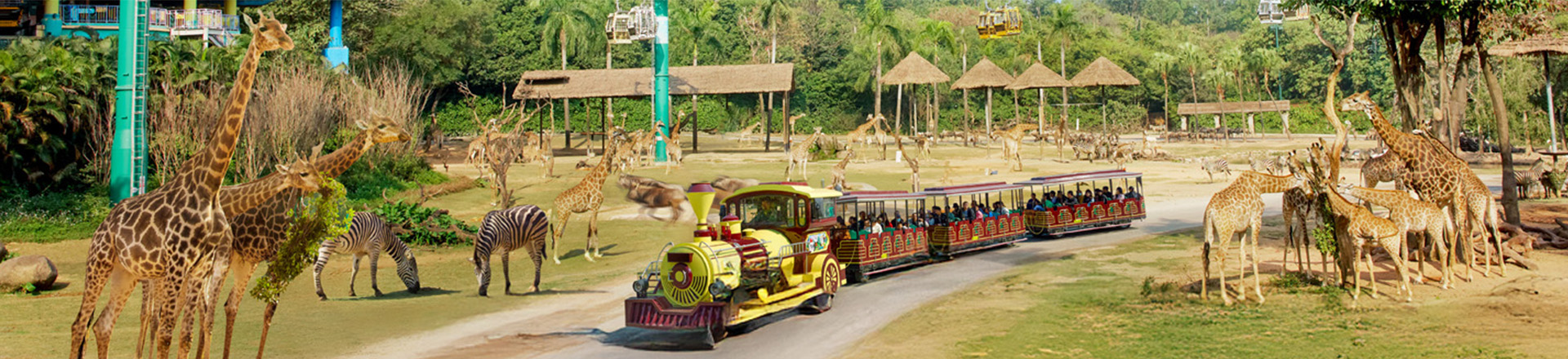 Chimelong Tourist Resort, Guangzhou